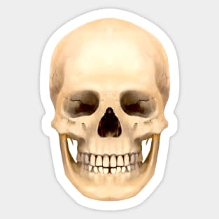 Skull Sticker